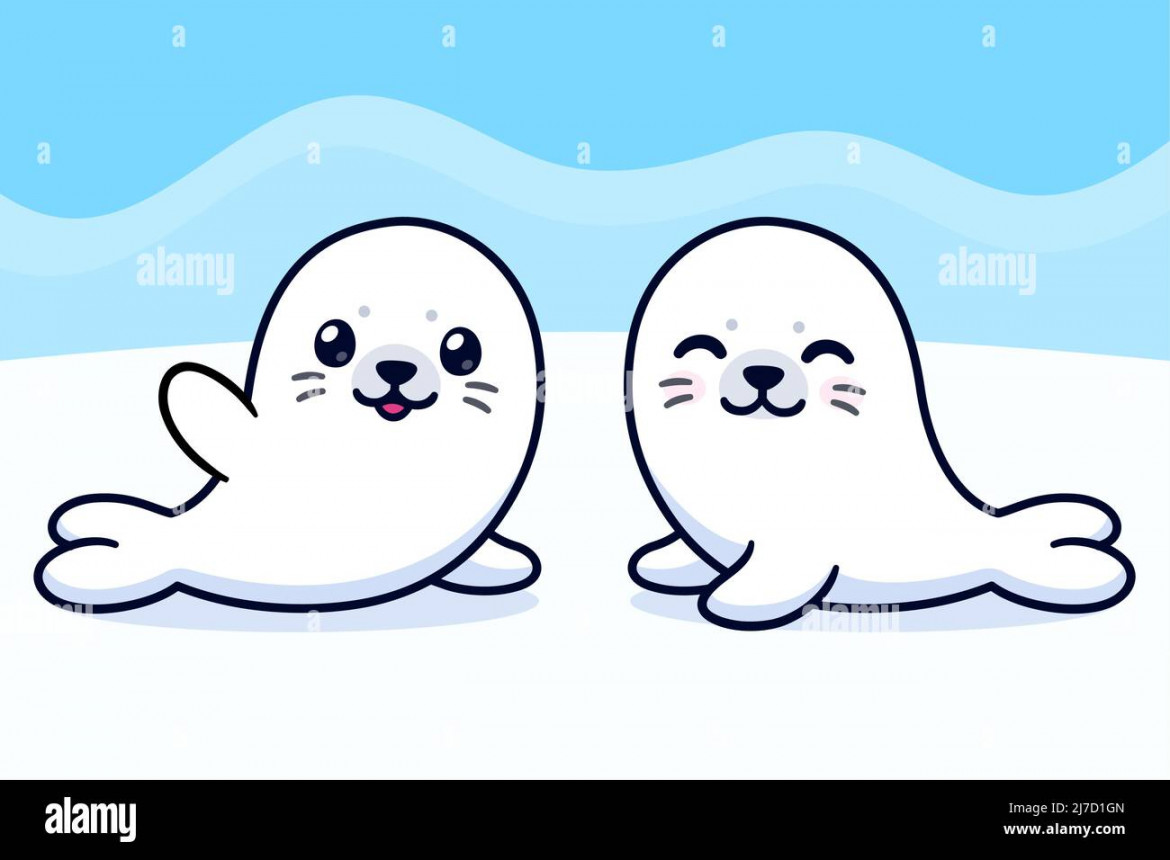 Two cute baby seals drawing, cartoon vector illustration Stock