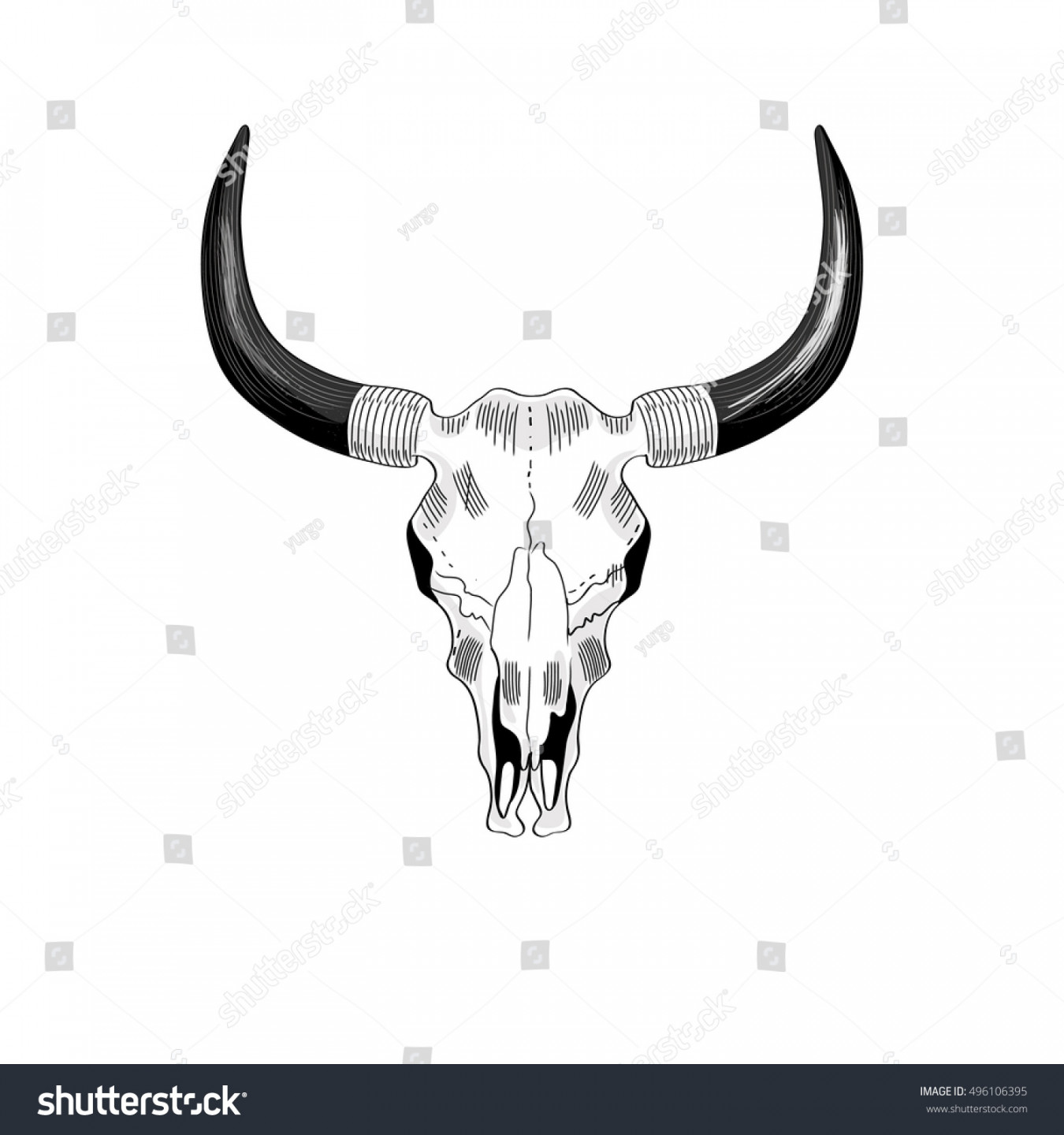 Vector Drawing Cow Bull Skull Horns: Stock-Vektorgrafik