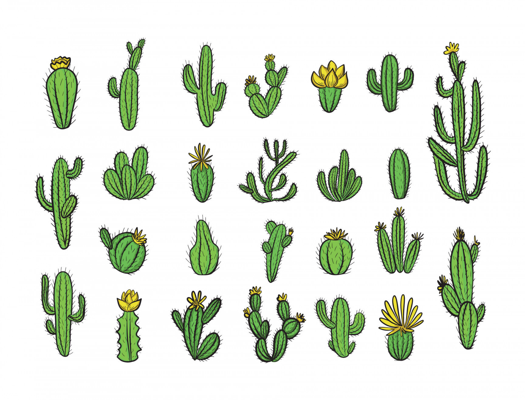 Vector drawing with various cacti