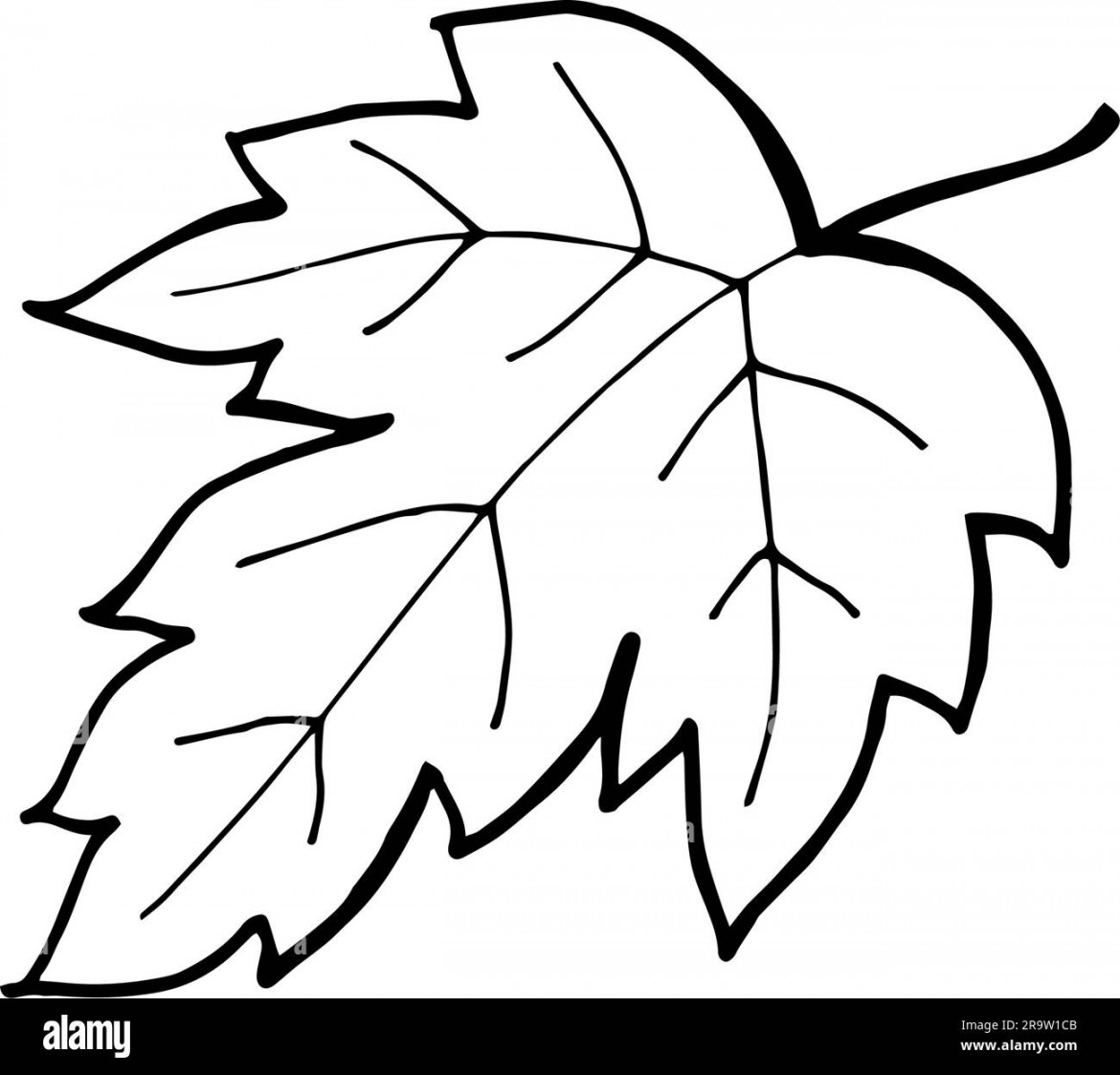 Vector line drawing abstract fall leaf