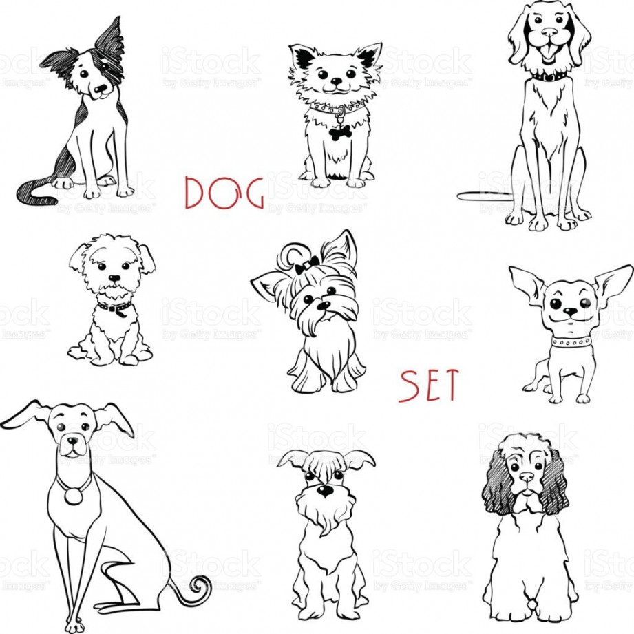 Vector set black and white dogs different breeds  Black and white