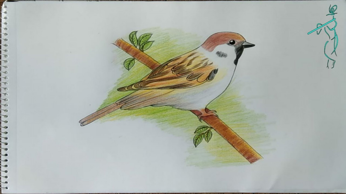 Very easy way to draw Sparrow sketch  How to draw a bird step by step   Drawing Sparrow