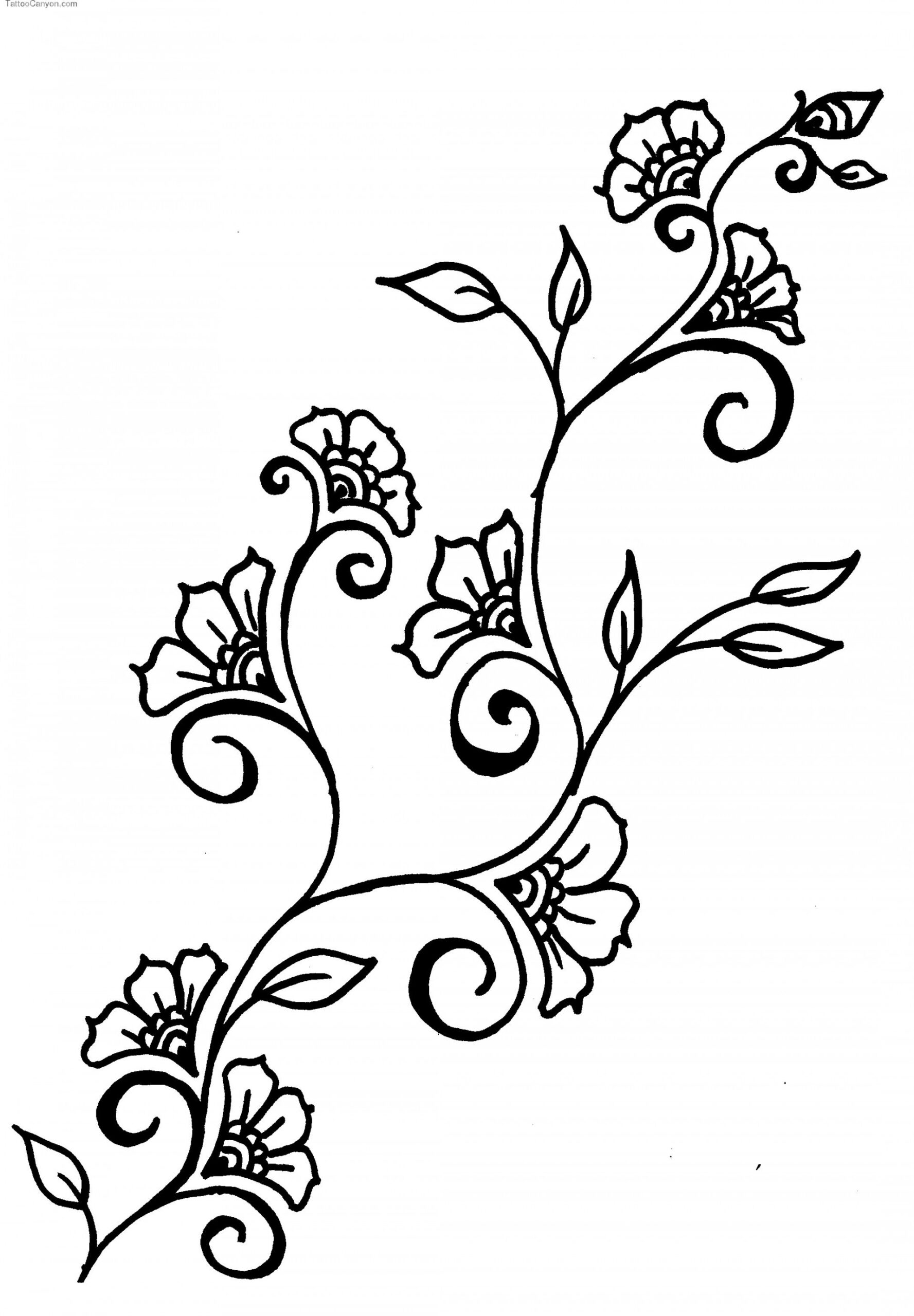 Vines Flowers Design Drawings  Flower drawing design, Vine