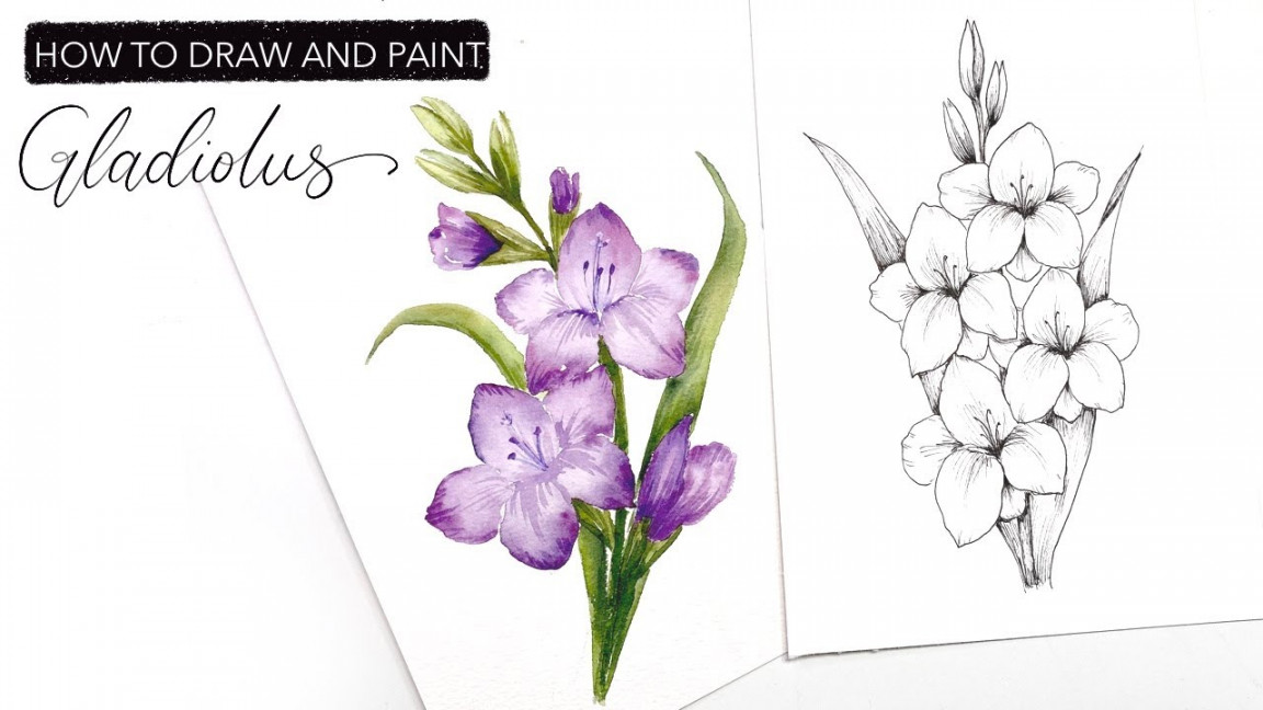 Watercolour Gladiolus: How To Draw And Paint August