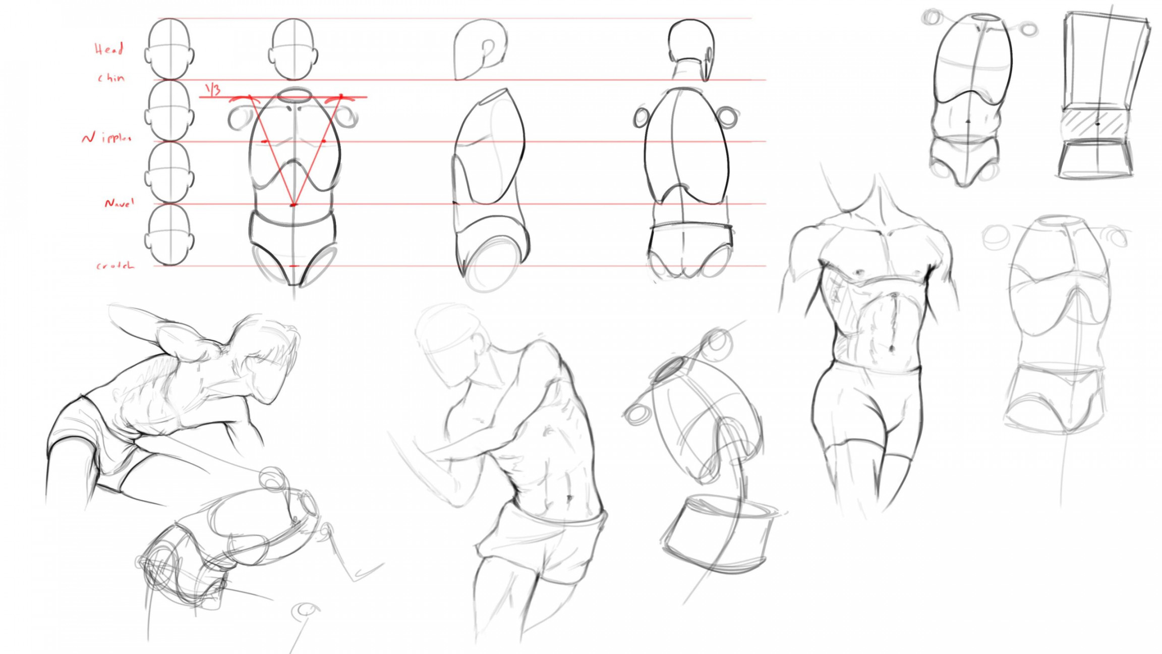 Ways to Draw Anatomy - Wingfox