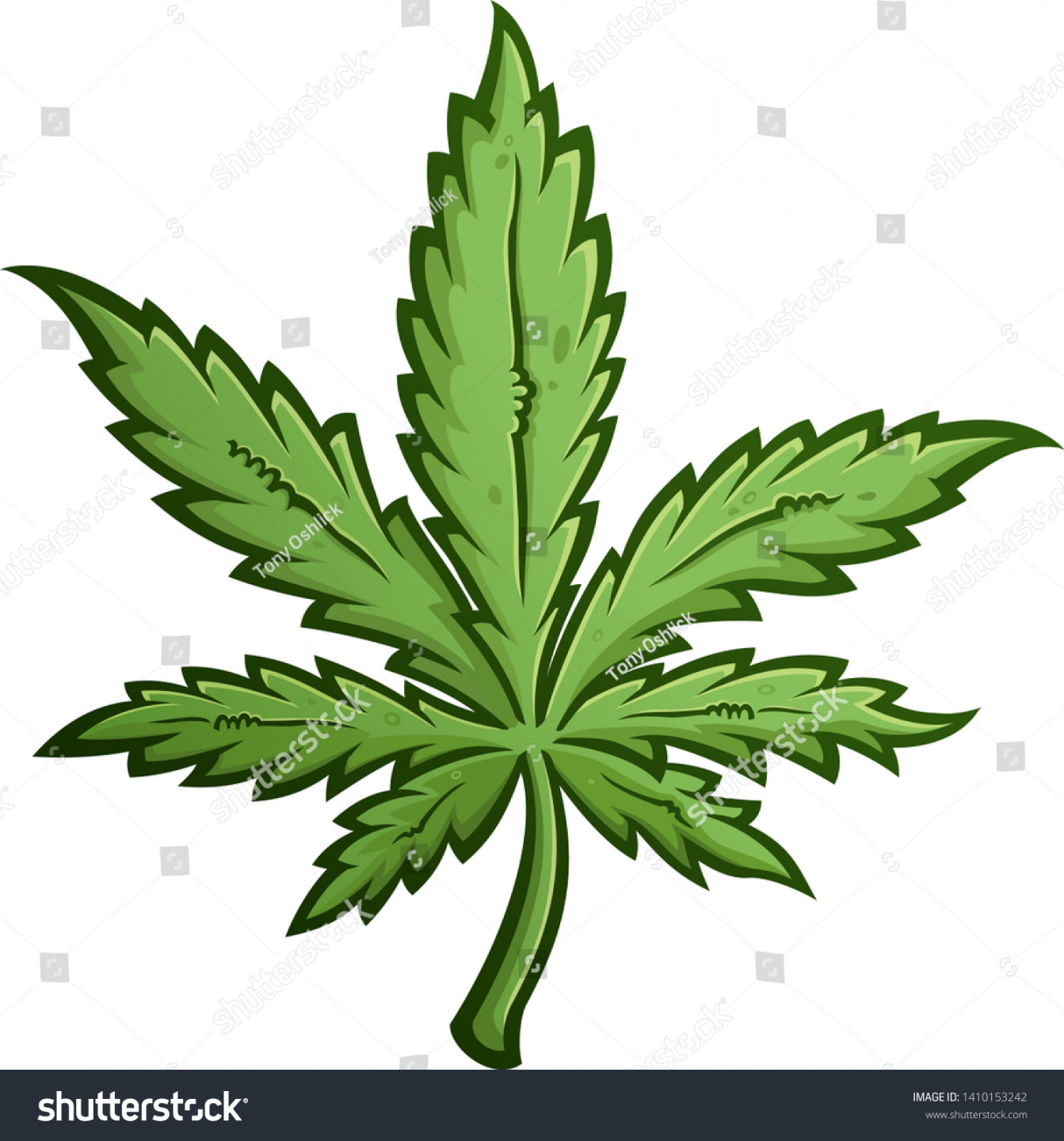 , Weed Leaf Drawing Images, Stock Photos, D objects