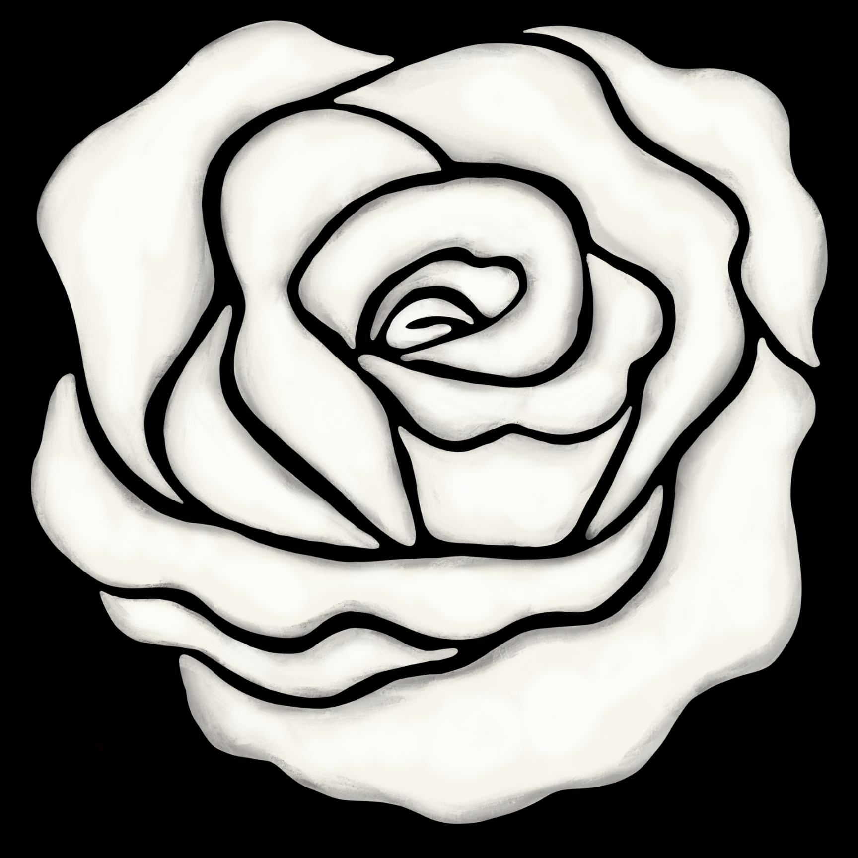 white rose flower drawing illustration  PNG