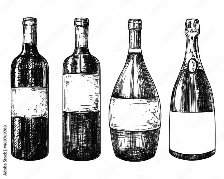 Wine bottles sketch ink graphic set illustration, draft silhouette