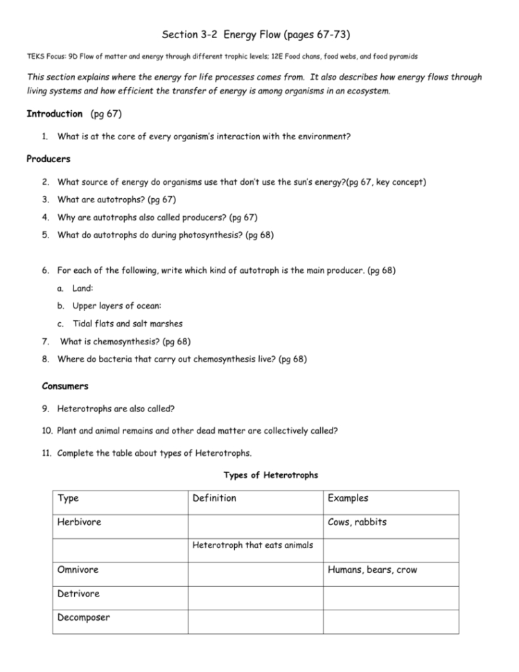 50 Fresh Energy Flow Worksheet Answers 12