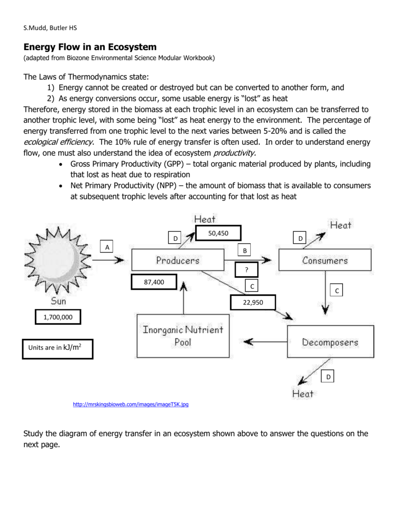 50 Fresh Energy Flow Worksheet Answers 13