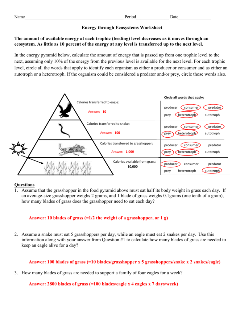 50 Fresh Energy Flow Worksheet Answers 14