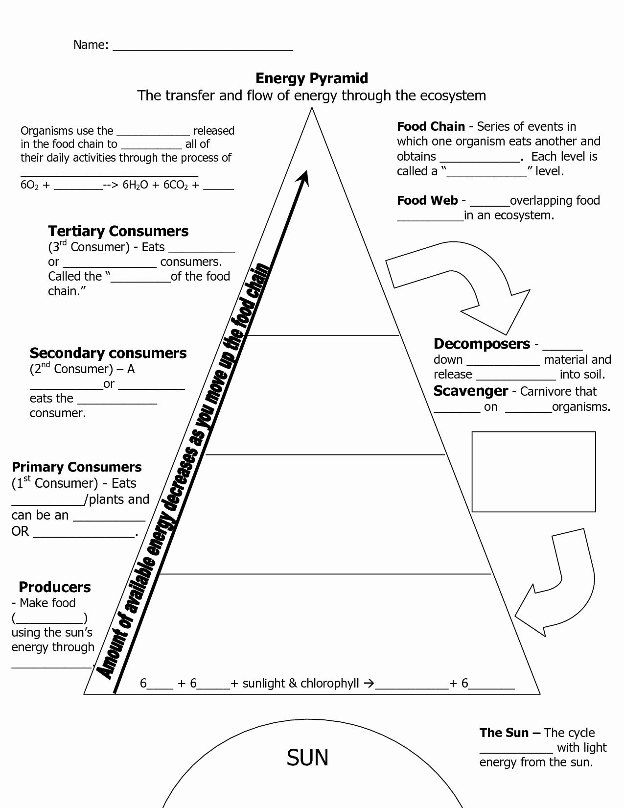 50 Fresh Energy Flow Worksheet Answers 17