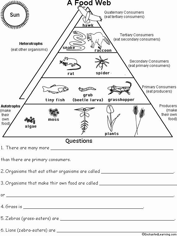 50 Fresh Energy Flow Worksheet Answers 2