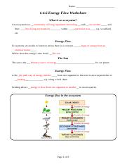 50 Fresh Energy Flow Worksheet Answers 21