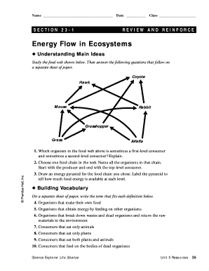 50 Fresh Energy Flow Worksheet Answers 24