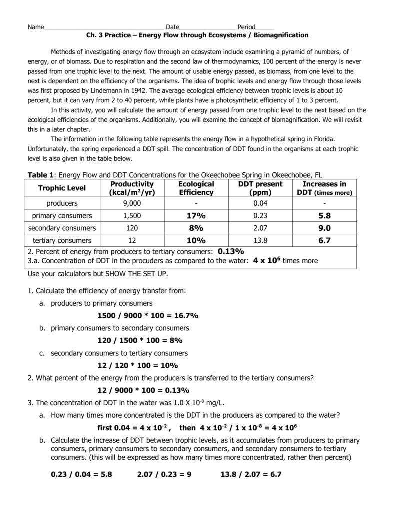 50 Fresh Energy Flow Worksheet Answers 25