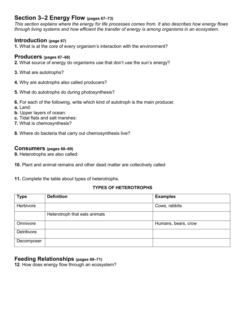 50 Fresh Energy Flow Worksheet Answers 29