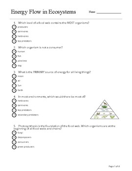 50 Fresh Energy Flow Worksheet Answers 3