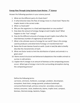 50 Fresh Energy Flow Worksheet Answers 31