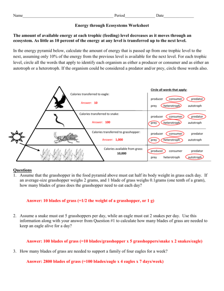 50 Fresh Energy Flow Worksheet Answers 32