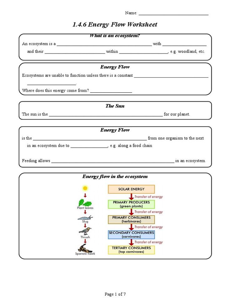 50 Fresh Energy Flow Worksheet Answers 43