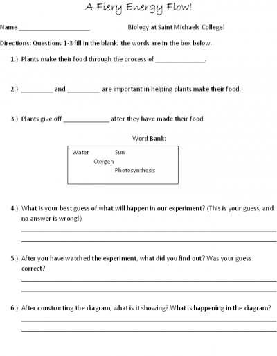 50 Fresh Energy Flow Worksheet Answers 52