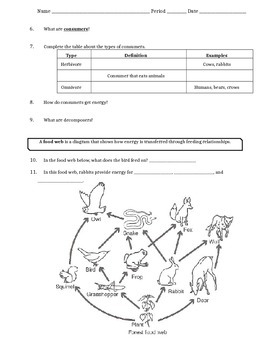 50 Fresh Energy Flow Worksheet Answers 56