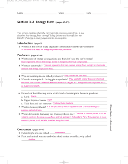 50 Fresh Energy Flow Worksheet Answers 58