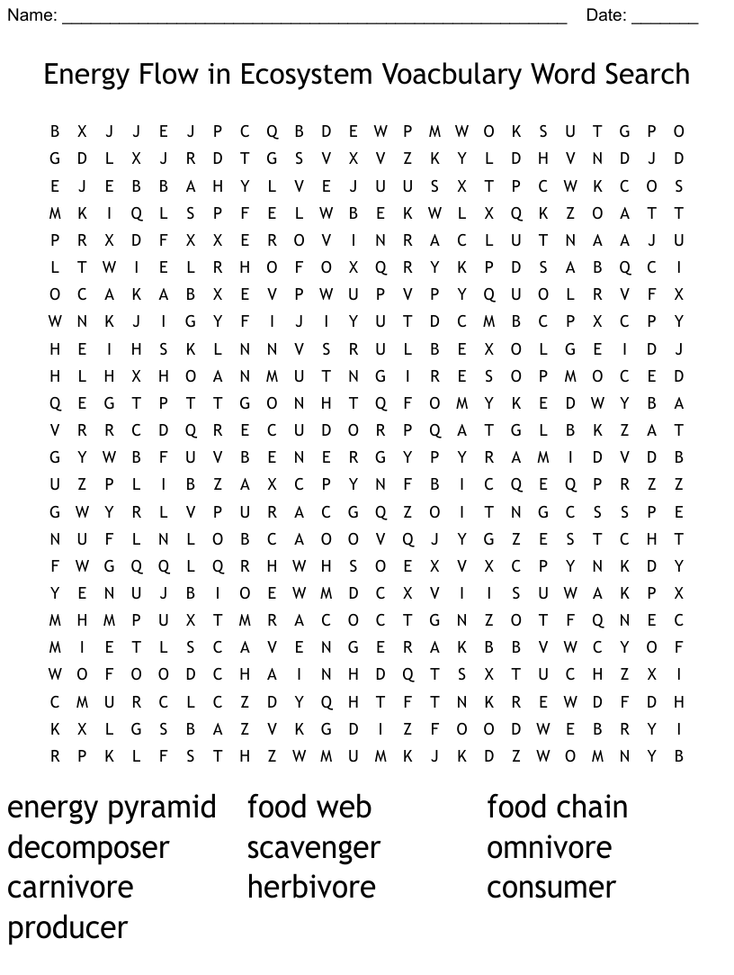 50 Fresh Energy Flow Worksheet Answers 61