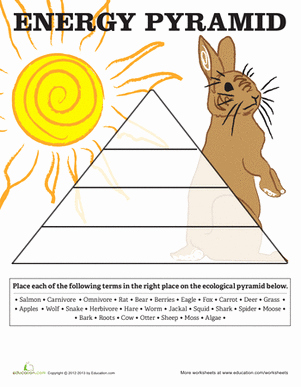 50 Fresh Energy Flow Worksheet Answers 63