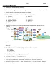 50 Fresh Energy Flow Worksheet Answers 65