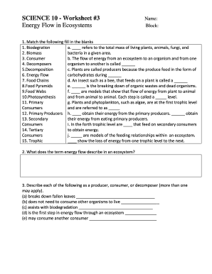 50 Fresh Energy Flow Worksheet Answers 70