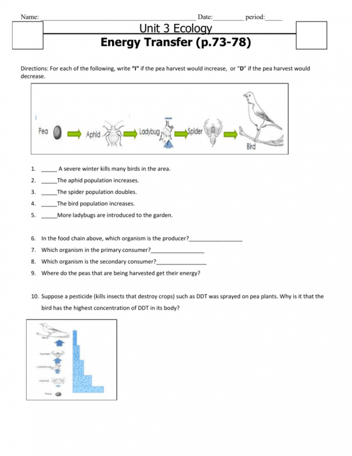 50 Fresh Energy Flow Worksheet Answers 73