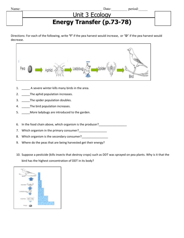 50 Fresh Energy Flow Worksheet Answers 79