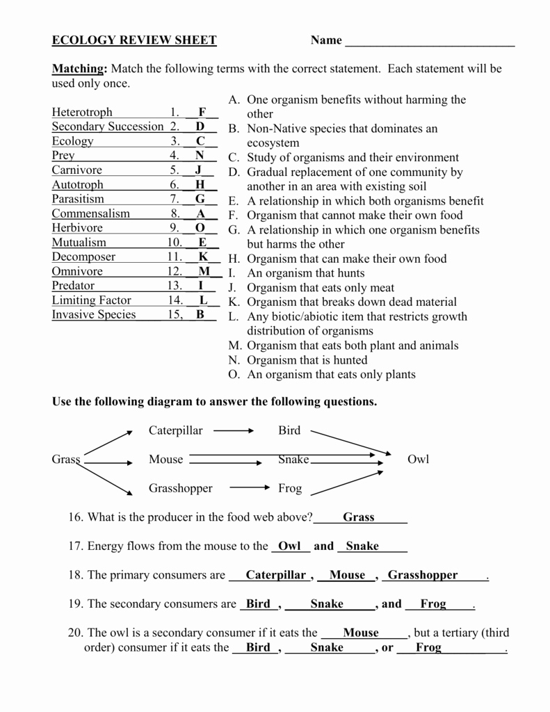 50 Fresh Energy Flow Worksheet Answers 91