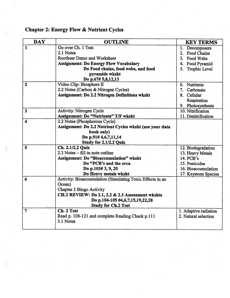 50 Fresh Energy Flow Worksheet Answers 93