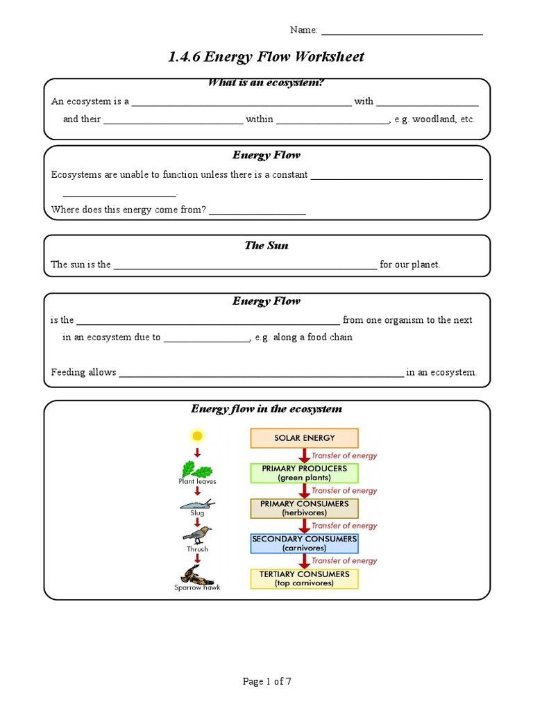 50 Fresh Energy Flow Worksheet Answers 95