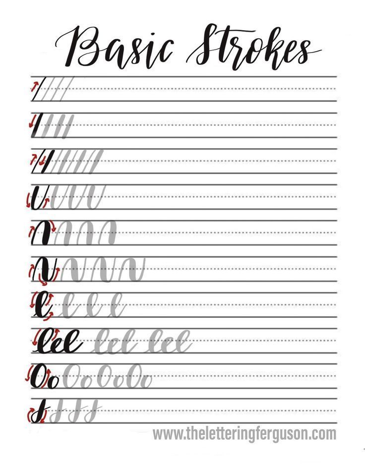 65 Calligraphy For Beginners Worksheets 19