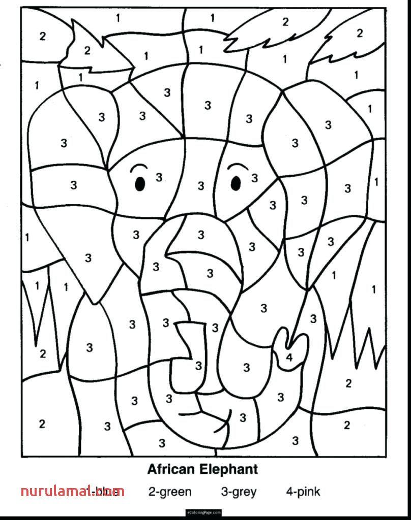 Custom 70+ Multiplication Worksheet For 4Th Graders