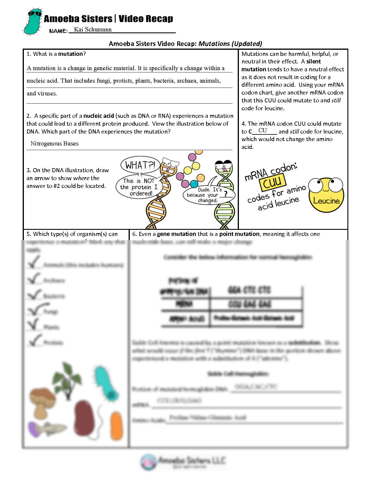 Amoeba Sisters Mutations Worksheet 1