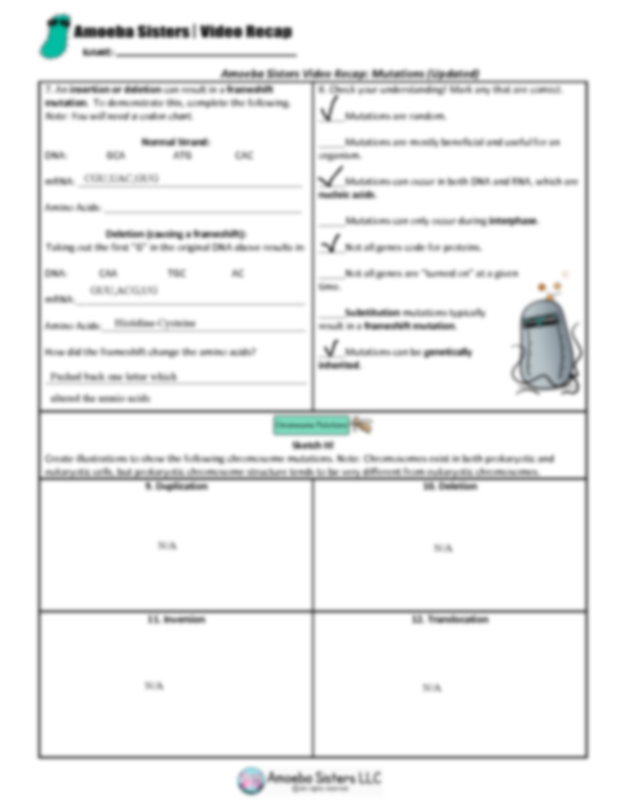 Amoeba Sisters Mutations Worksheet 11