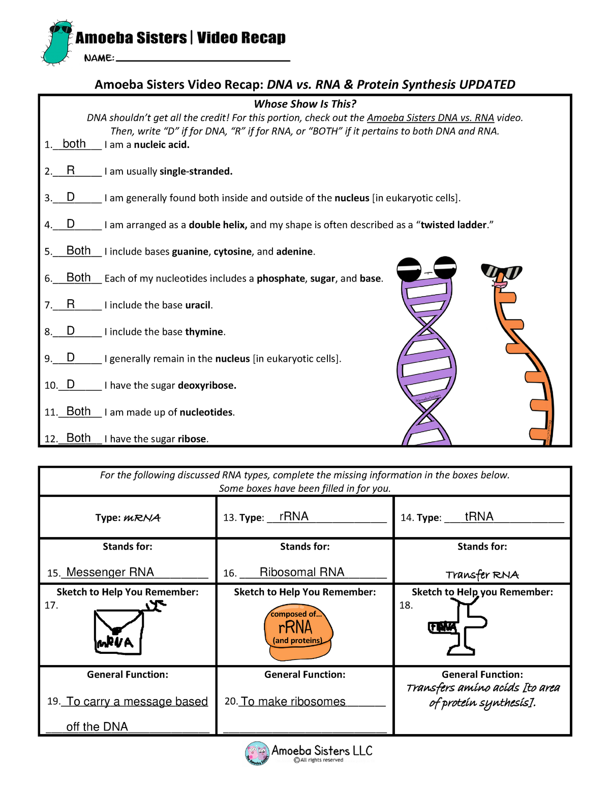 Amoeba Sisters Mutations Worksheet 12