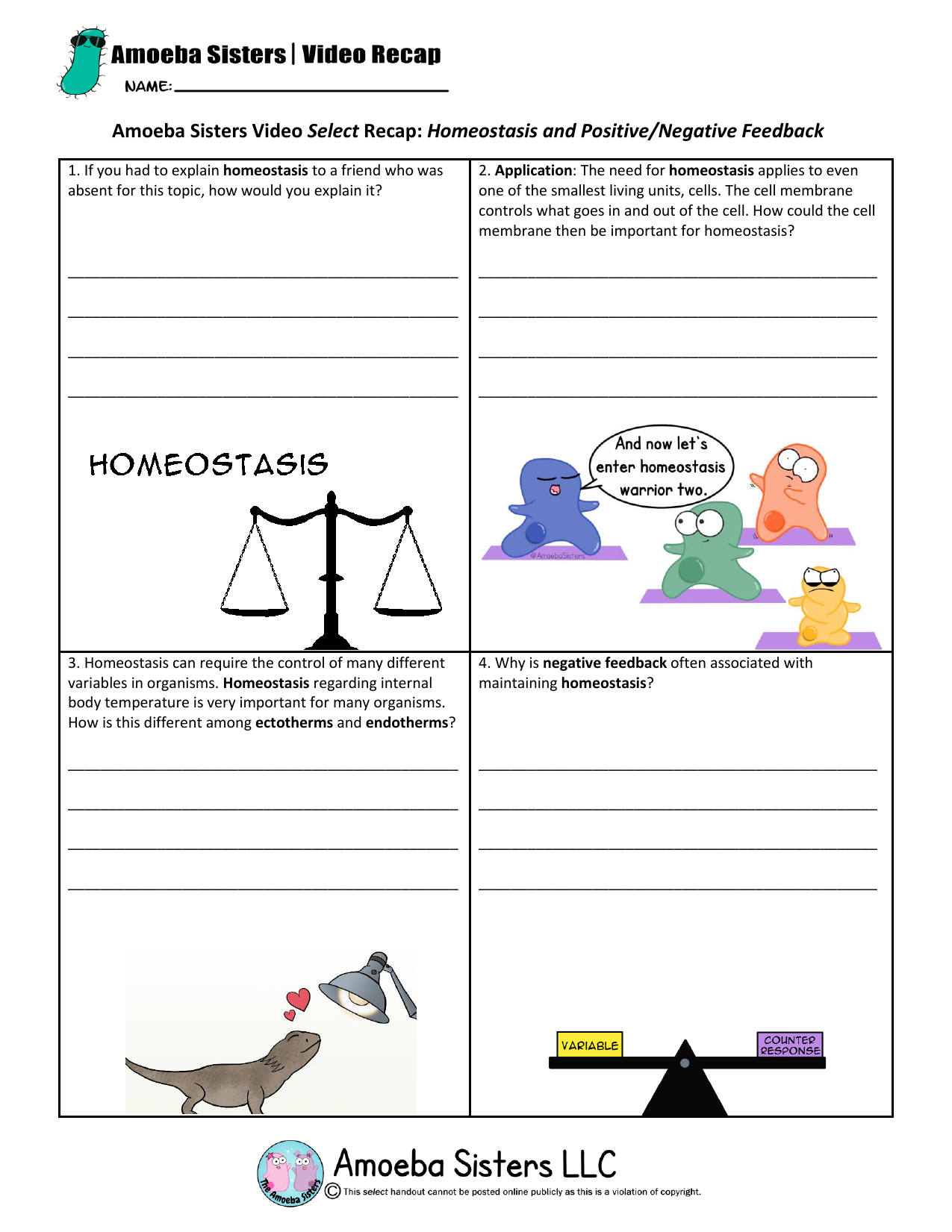 Amoeba Sisters Mutations Worksheet 2