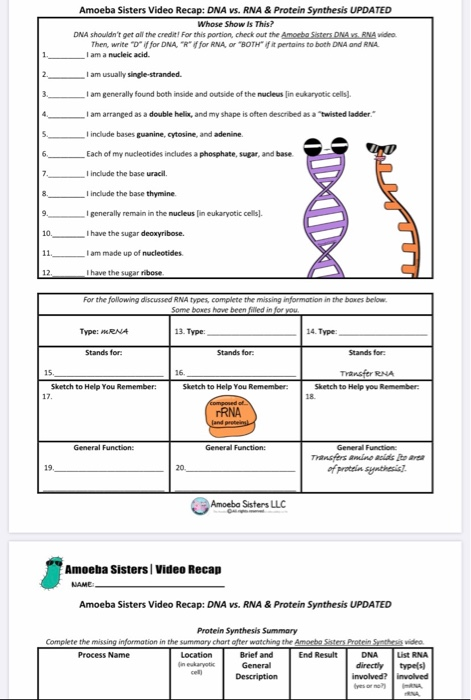 Amoeba Sisters Mutations Worksheet 22