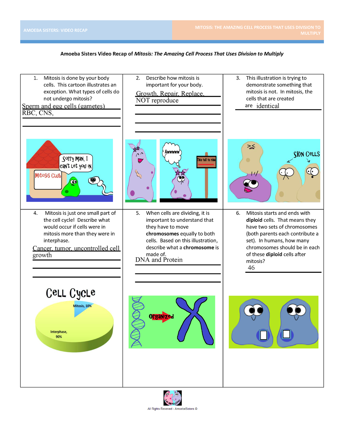 Amoeba Sisters Mutations Worksheet 40