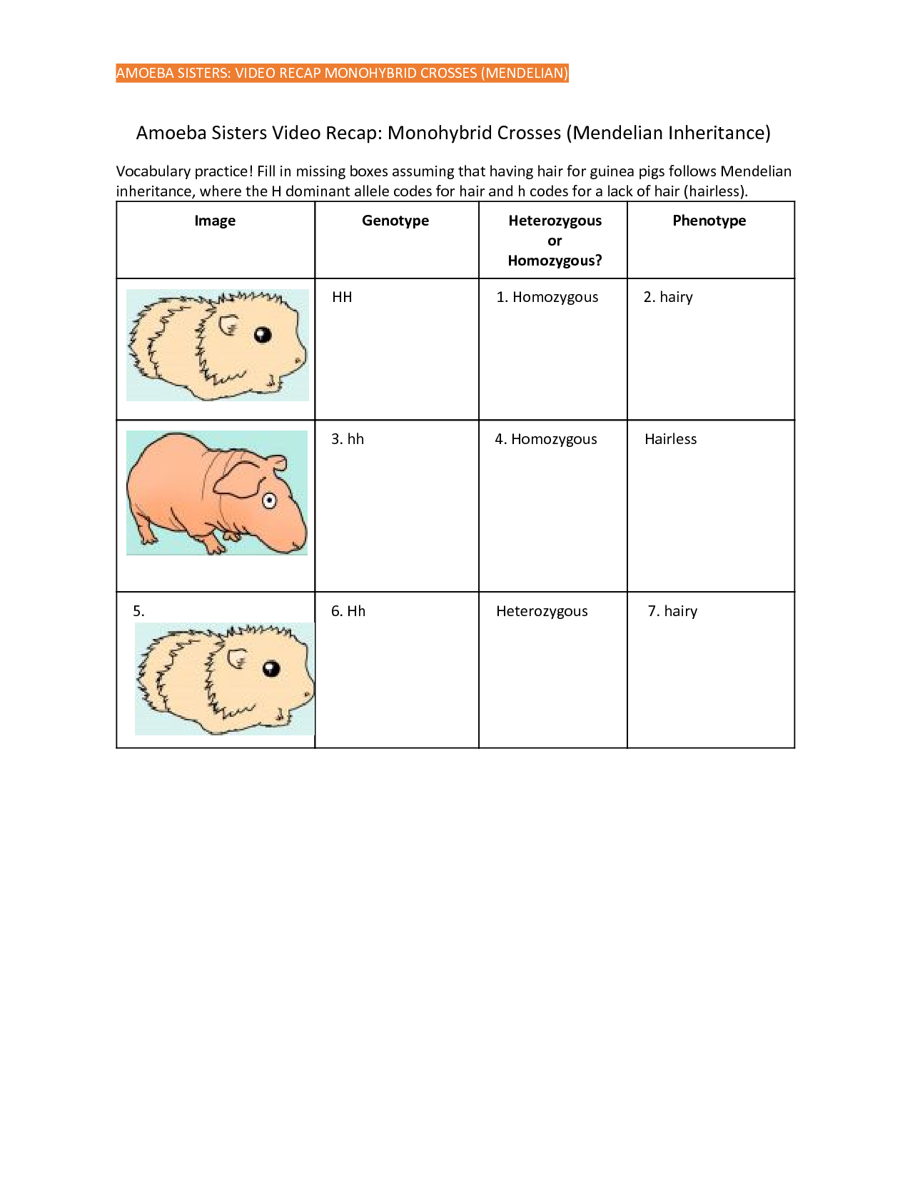 Amoeba Sisters Mutations Worksheet 43