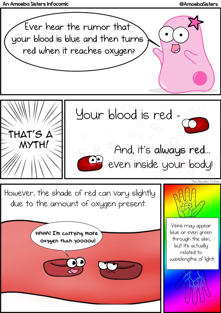 Amoeba Sisters Mutations Worksheet 48