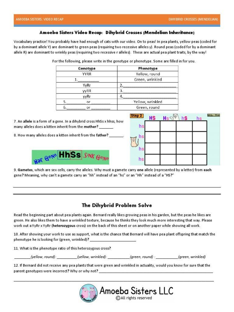 Amoeba Sisters Mutations Worksheet 5