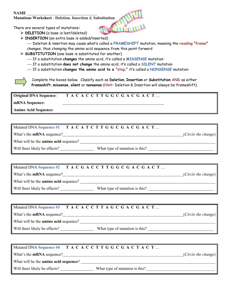 Amoeba Sisters Mutations Worksheet 54