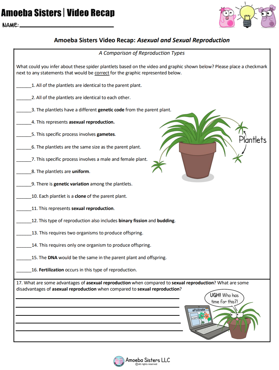 Amoeba Sisters Mutations Worksheet 55